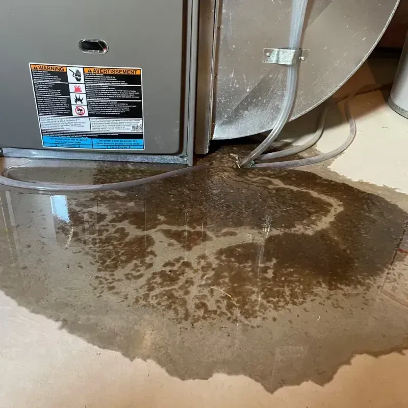 Appliance Leak Cleanup in Atoka, TN